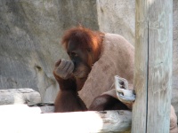 20100206 482.JPG